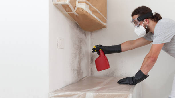 Professional Mold Cleanup technician working in Chincoteague Island, VA