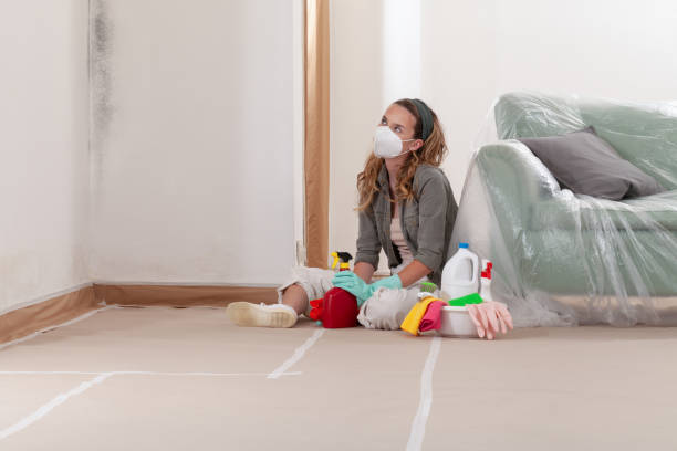 Reliable Mold Cleanup contractor in Chincoteague Island, VA by WQB Mold Removal
